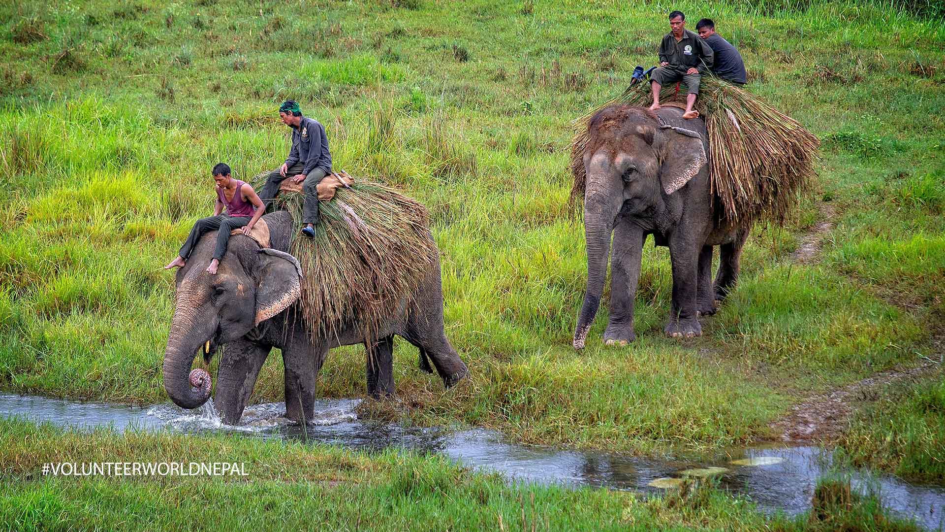 chitwan jungle safari tour