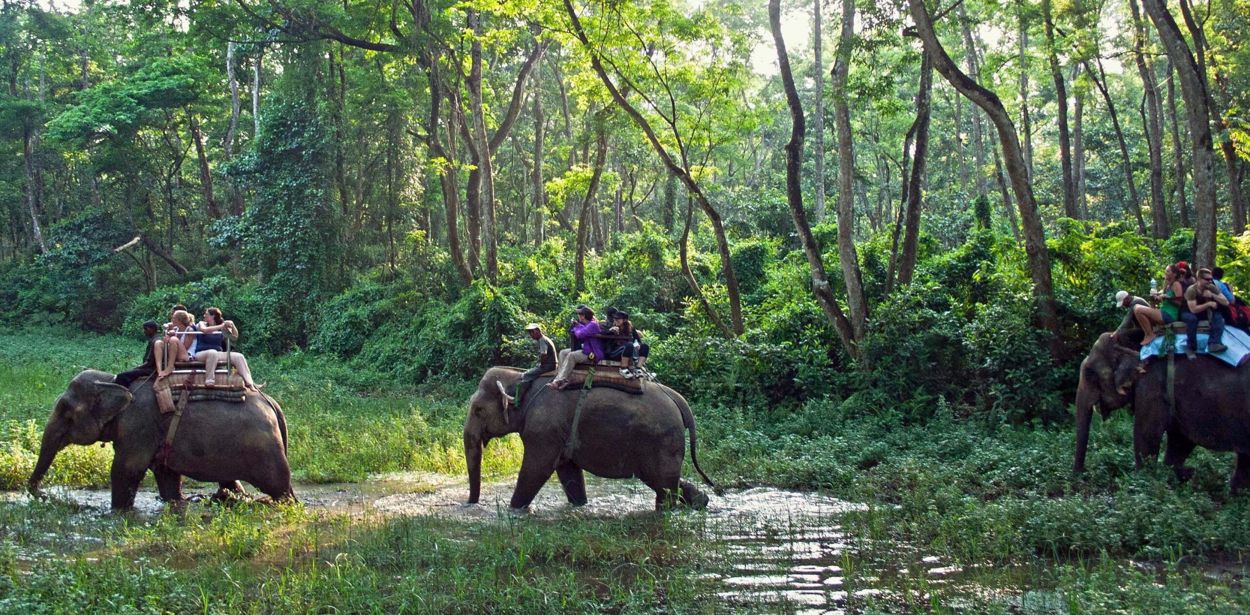 Volunteering in Nepal - Chitwan, Volunteering in Terai
