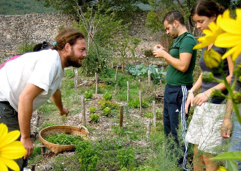 farm volunteer nepal sustainable agriculture volunteering in nepal