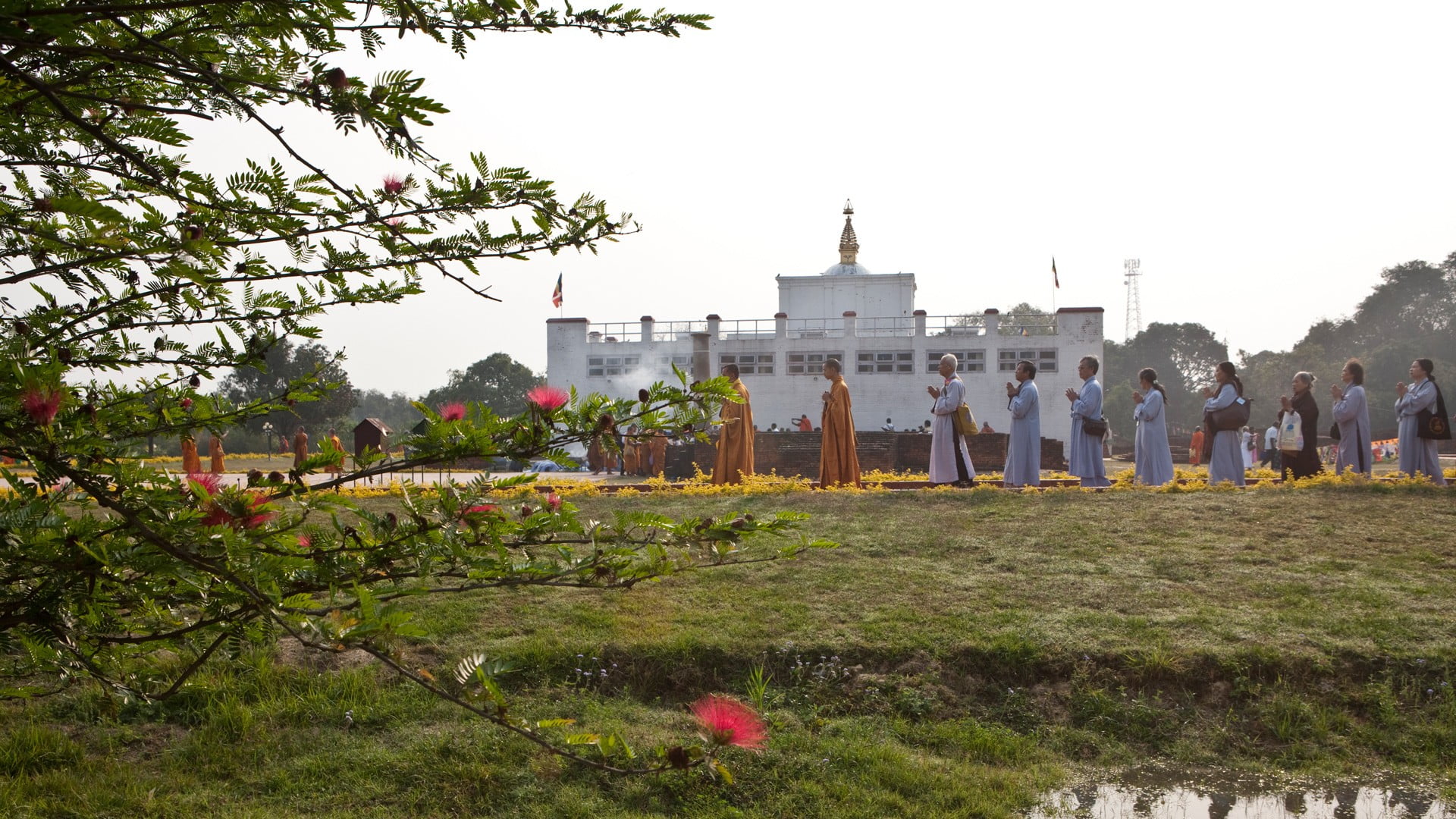 Chitwan Lumbini Pokhara Tour and Volunteering