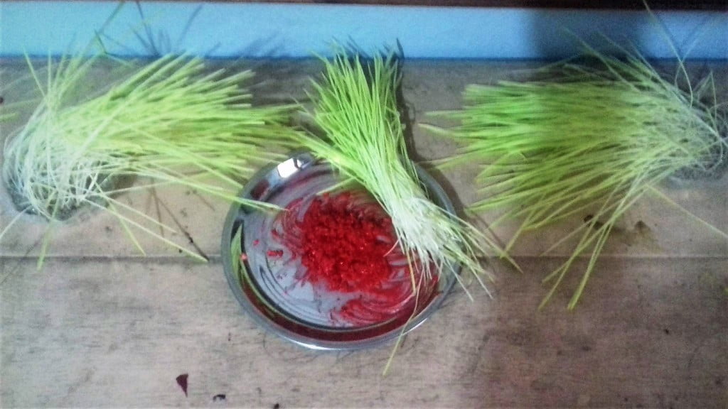 Dashain Festival Celebration at Centre for Children with Intellectual Disabilities (CCID)