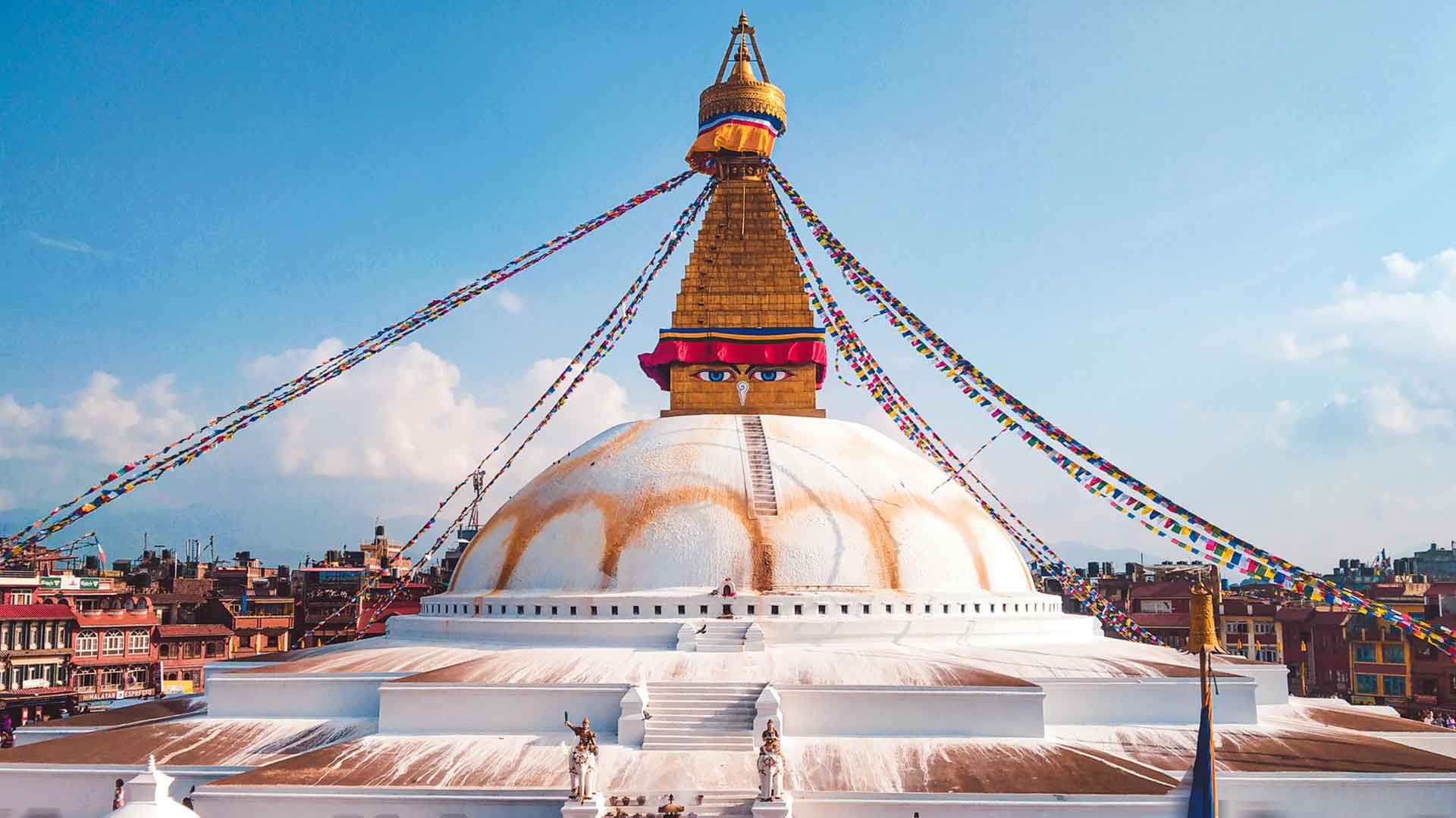 volunteering jungle safari and pokhara tour